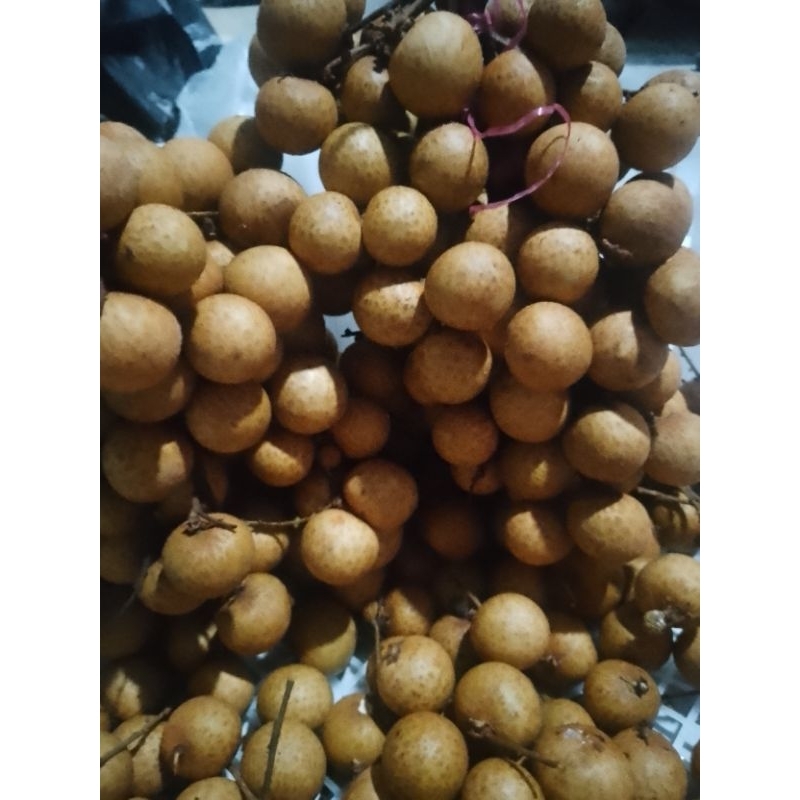 

buah lengkeng
