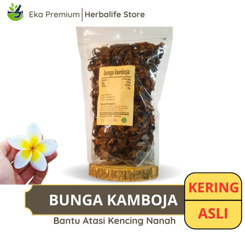 

BUNGA KAMBOJA KERING 1 KG Premium – Ramuan Rempah Herbal Alami untuk Ramuan & Aromaterapi Jamu Tradisional Simplisia Plumeria