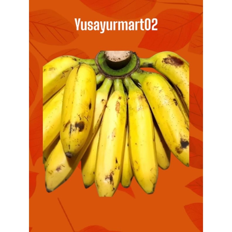 pisang ULI 1 sisir