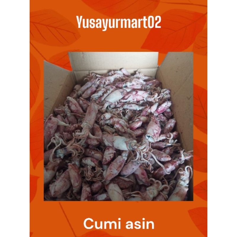 

cumi asin 125gr