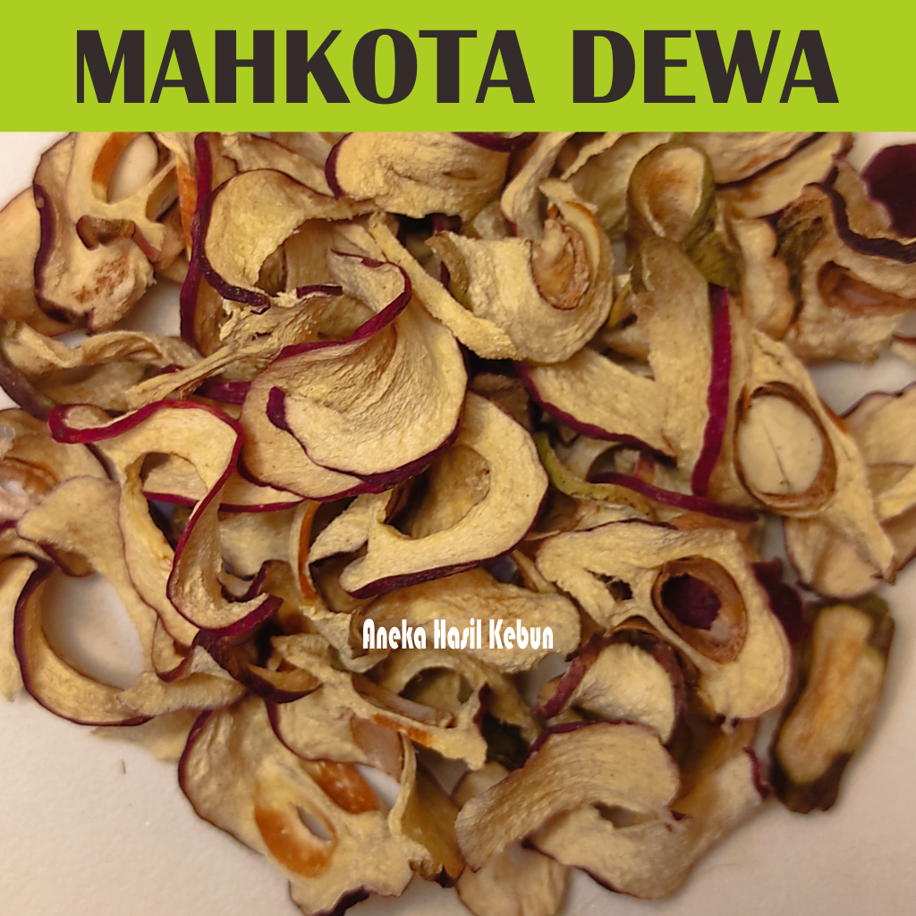

Mahkota Dewa kering 1 Kg Asli Kualitas Premium Grade A Untuk Herbal