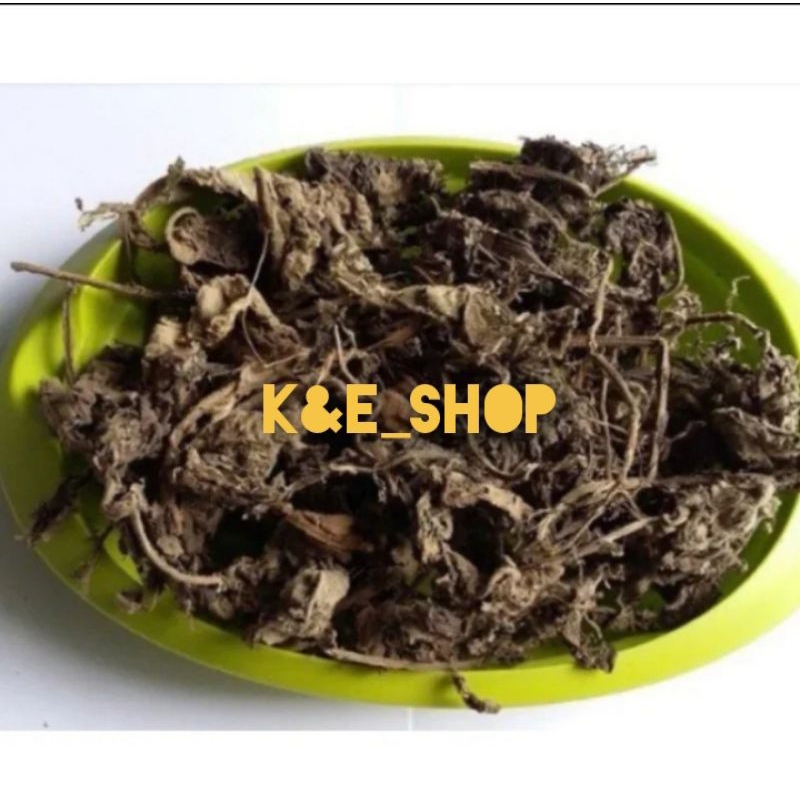 

Daun lantana kering/daun tembelek kering