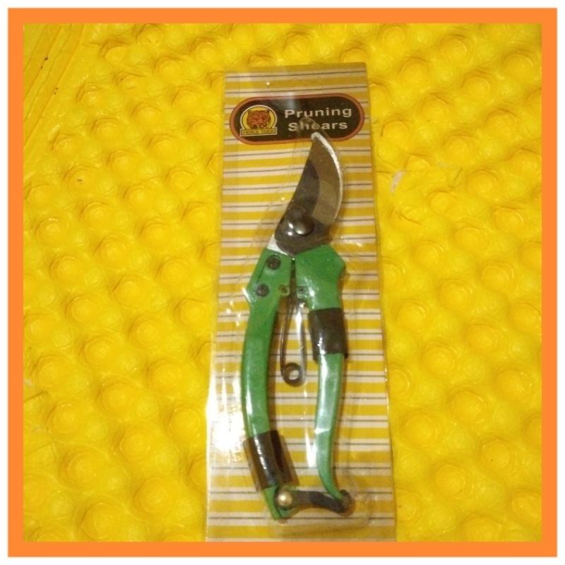 Gunting Dahan Ranting Pruning