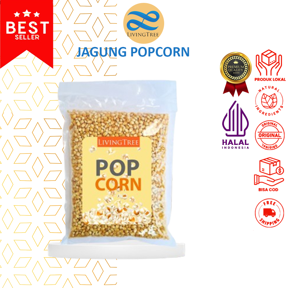 

Jagung Popcorn Mentah 1kg Jagung Popcorn Original