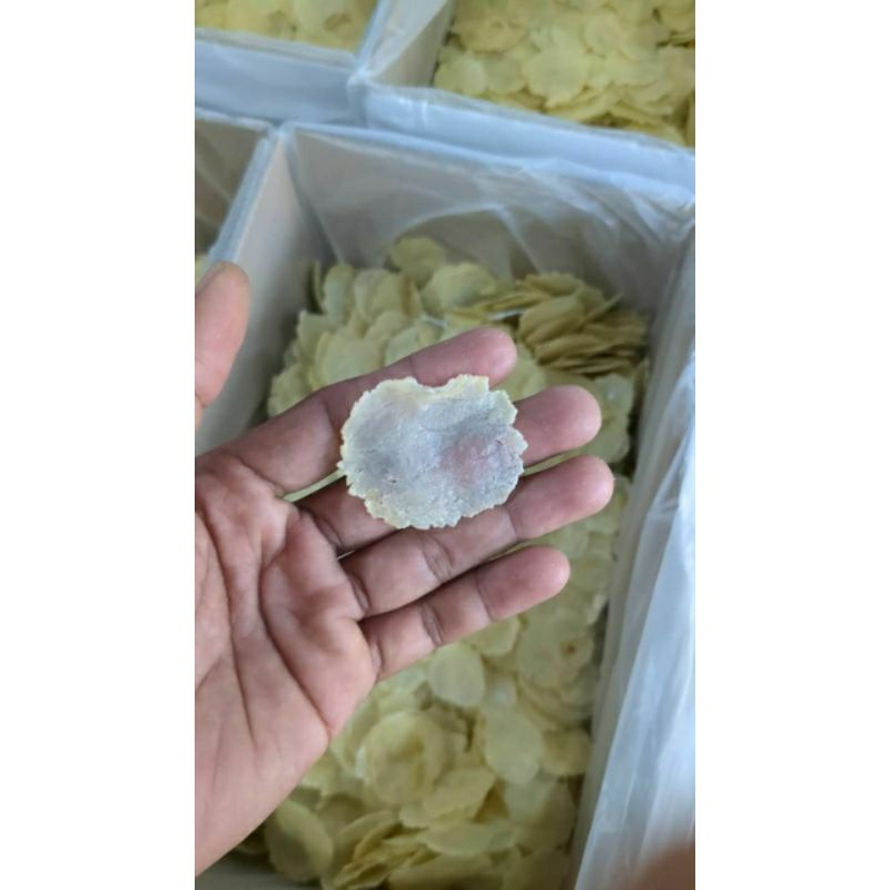 

EMPING MELINJO SUPER|| ASLI LIMPUNG ||SP(BIJI 1 ATAU 2) || MENTAH|| 500gr