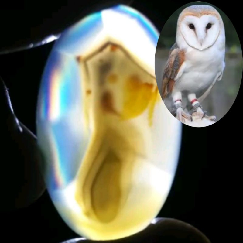 Batu Kristal Gambar Burung - Iris Agate. Bukan Batu Ruby Birma Sapphire Ceylon Batu Bacan Doko Bacan