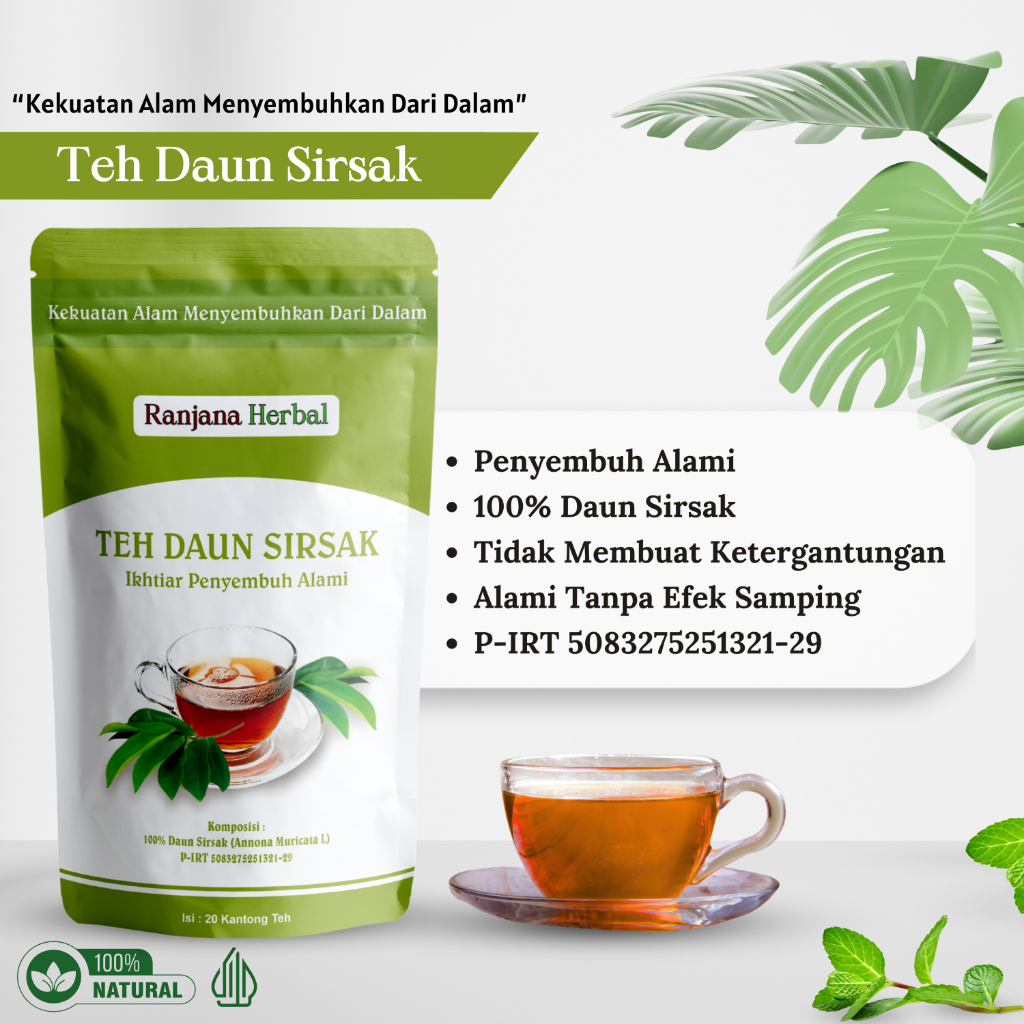

Teh Celup Daun Sirsak Obat Kanker Tumor Kista Ovarium Benjolan Tidak Normal Getah Bening Paparan Radikal Bebas
