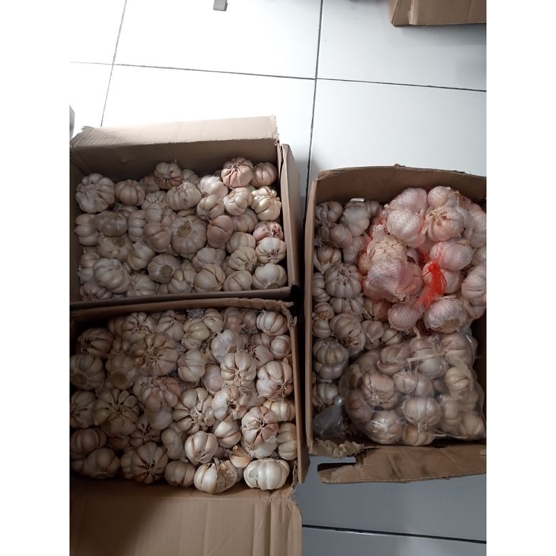 

bawang putih honan bersih 1kg