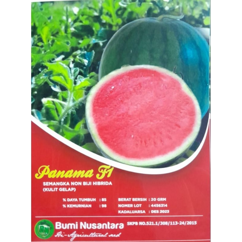 

panama f1 semangka non biji(kulit gelap)