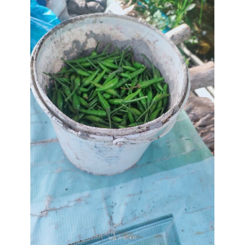 

cabe cabai rawit hijau 100 gram