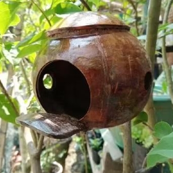 GLODOK BAJING GLODOK BURUNG PARKIT KENARI
