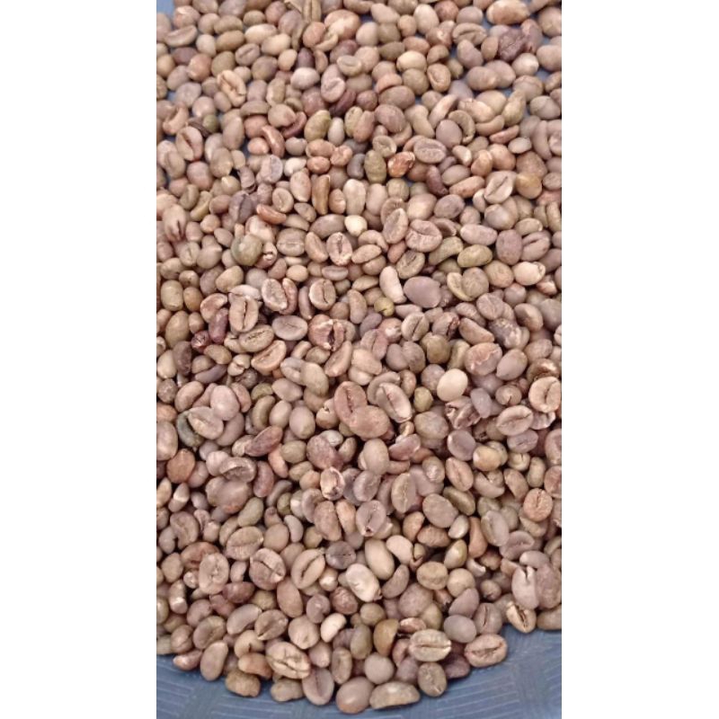 

greenbean || biji kopi robusta