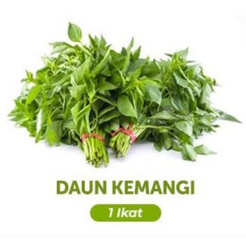 

Daun Kemangi Segar 1 ikat