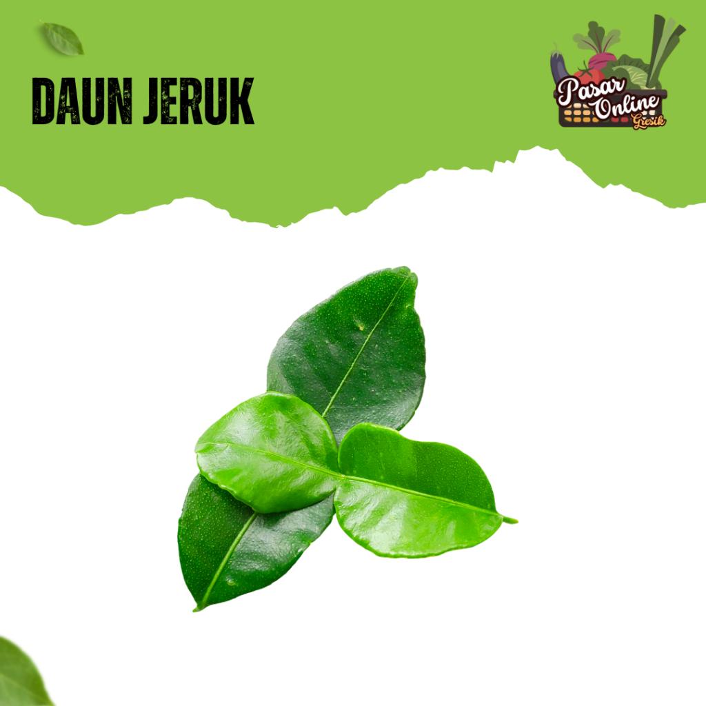 

DAUN JERUK - 1 BUNGKUS