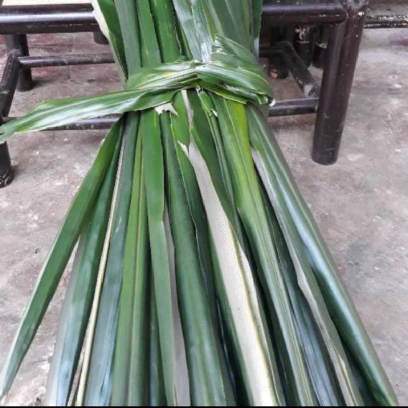 

DAUN RON/ENAO SEGAR FRESH 30 DAUN