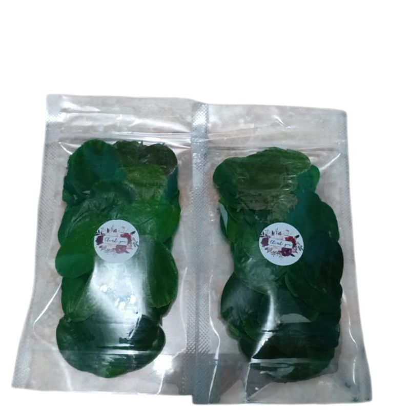 

Daun bidara obat dan baik untuk kesehatan 50 lembar/pack