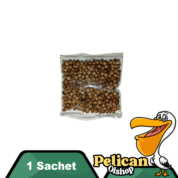 

Ketumbar Butir Hitam 1 Sachet Bumbu Masak Rempah Herbal Bahan Godogan Detoks