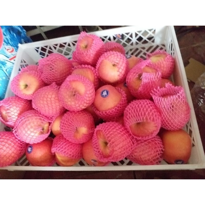 

apel fuji china size 88 /kg