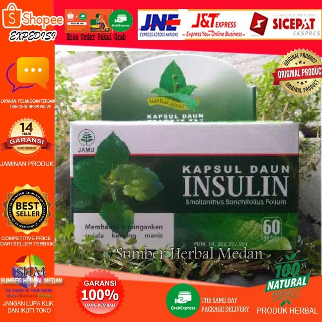 KAPSUL DAUN INSULIN ISI 60 HERBAL MURNI ORIGINAL CV.HANIF HERBAL ASLI 100%