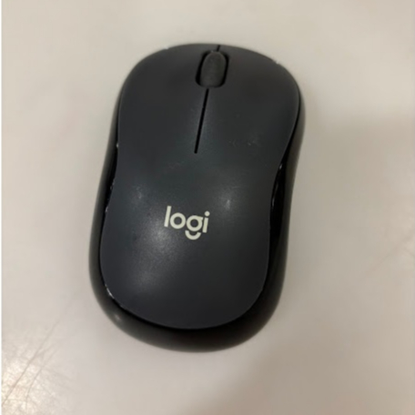 Logitech Mouse Wireless Original 100% Preloved