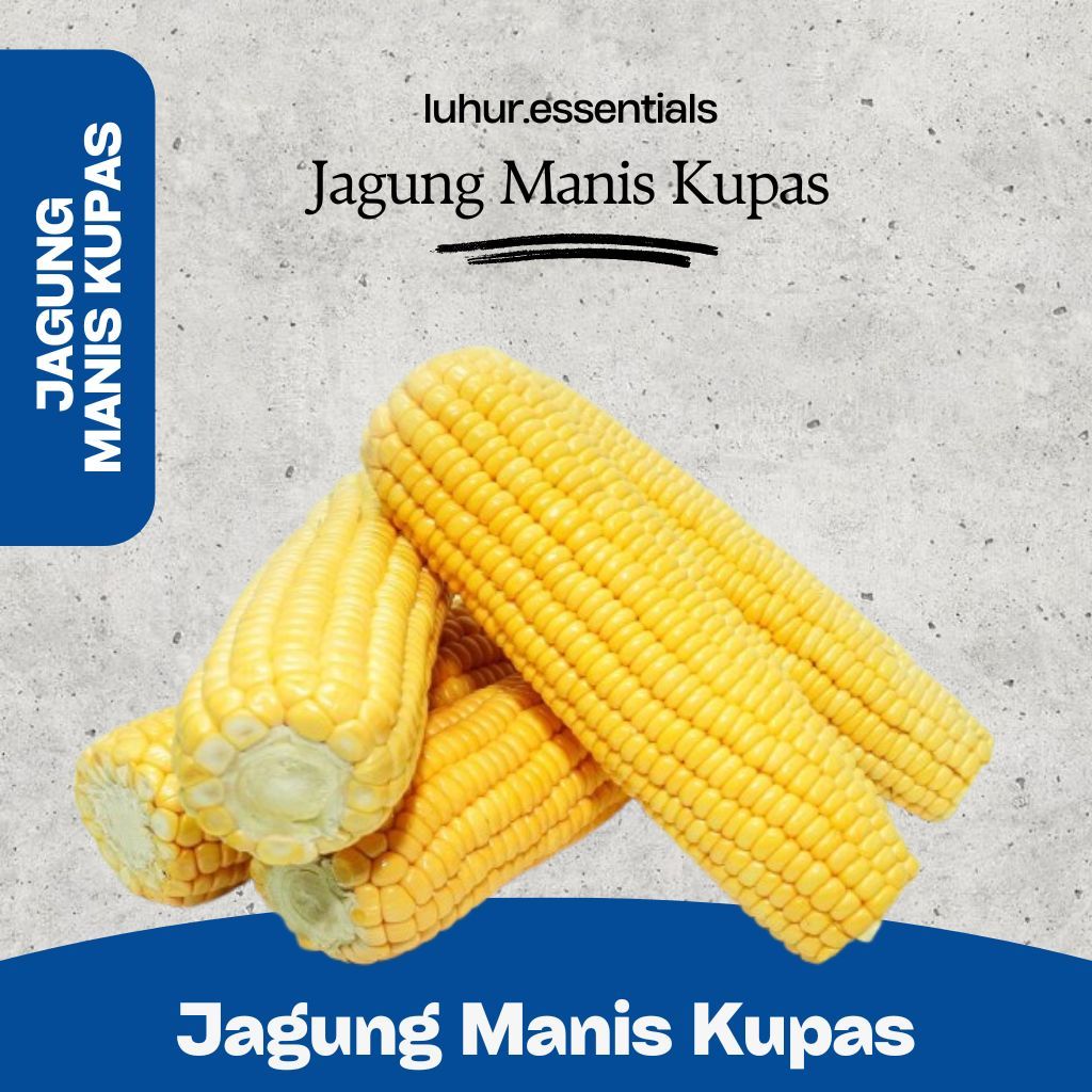 

Jagung Manis Kupas - Fresh & Berkualitas - 1 Buah (Tongkol)