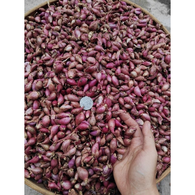 

bawang merah ukuran kecil/lembut/ulekan 1kg