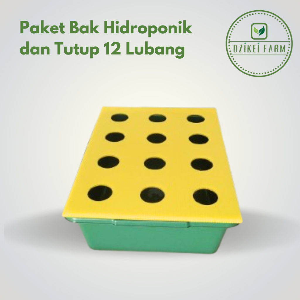 Paket Bak Hidroponik dan Tutup Impraboard 12 Lubang