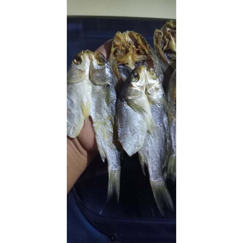 

IKAN ASIN BLANAK 250 gram