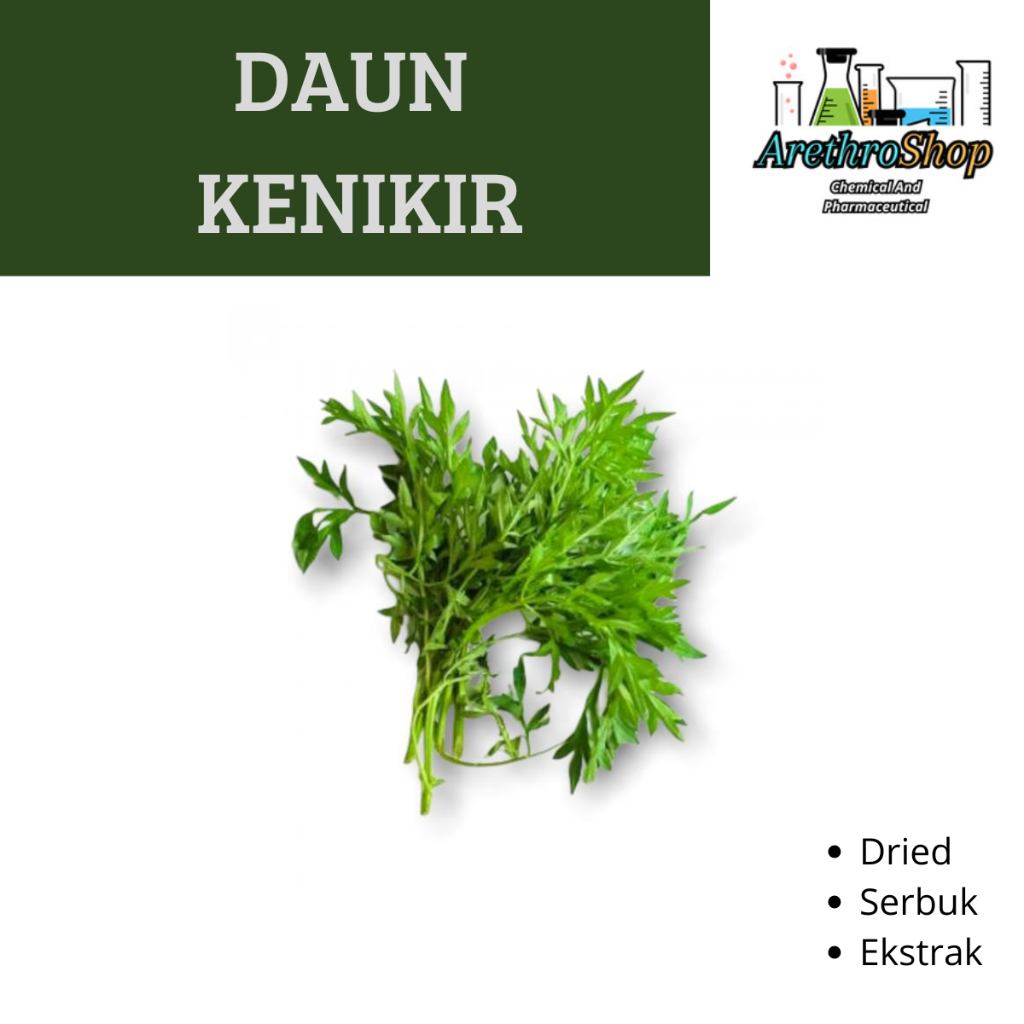 

SERBUK DAN DRIED DAUN KENIKIR BEST PRODUCT