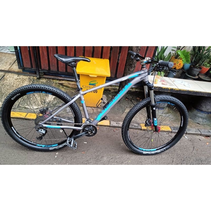 Xtrada 5 2020 (S.27,5) Jangkrik