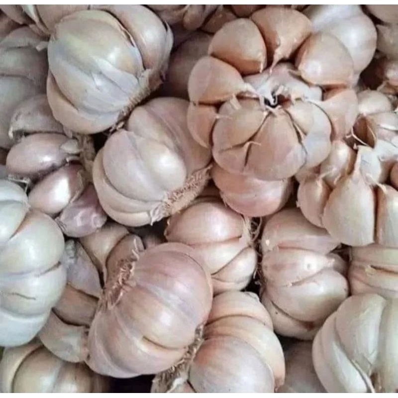 

Bawang Putih 100 gr