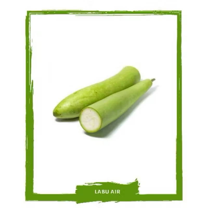 

Labu Air / Sayur Segar By Sayur Mallah