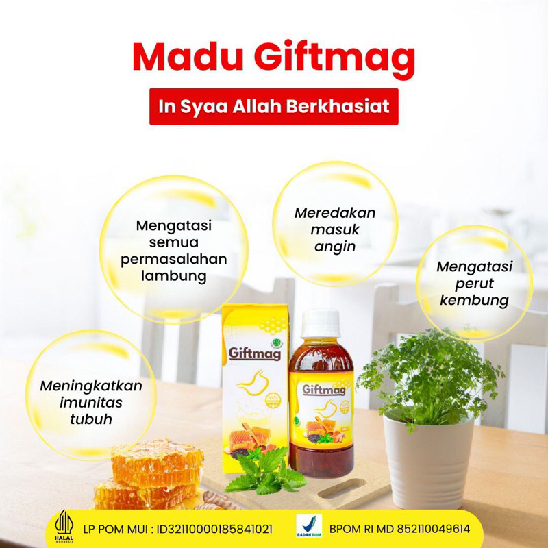 

MADU GIFTMAG MADU LAMBUNG 280gr