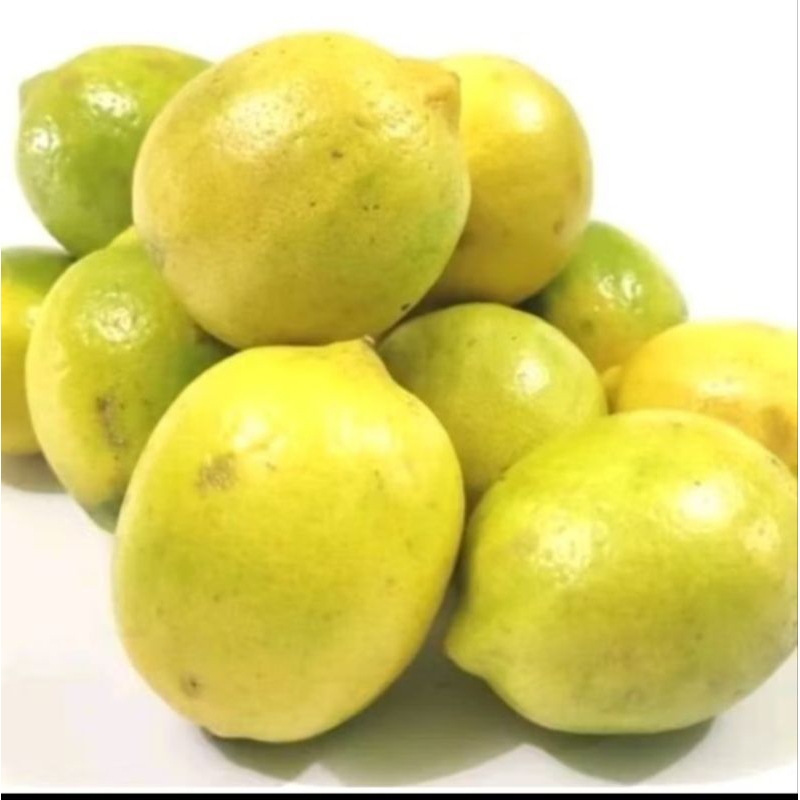 

lemon lokal asli aceh