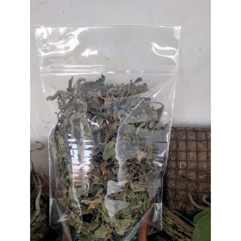 

DAUN INSULIN KERING PREMIUM /DAUN KI PAHIT(obat alami diabetes )