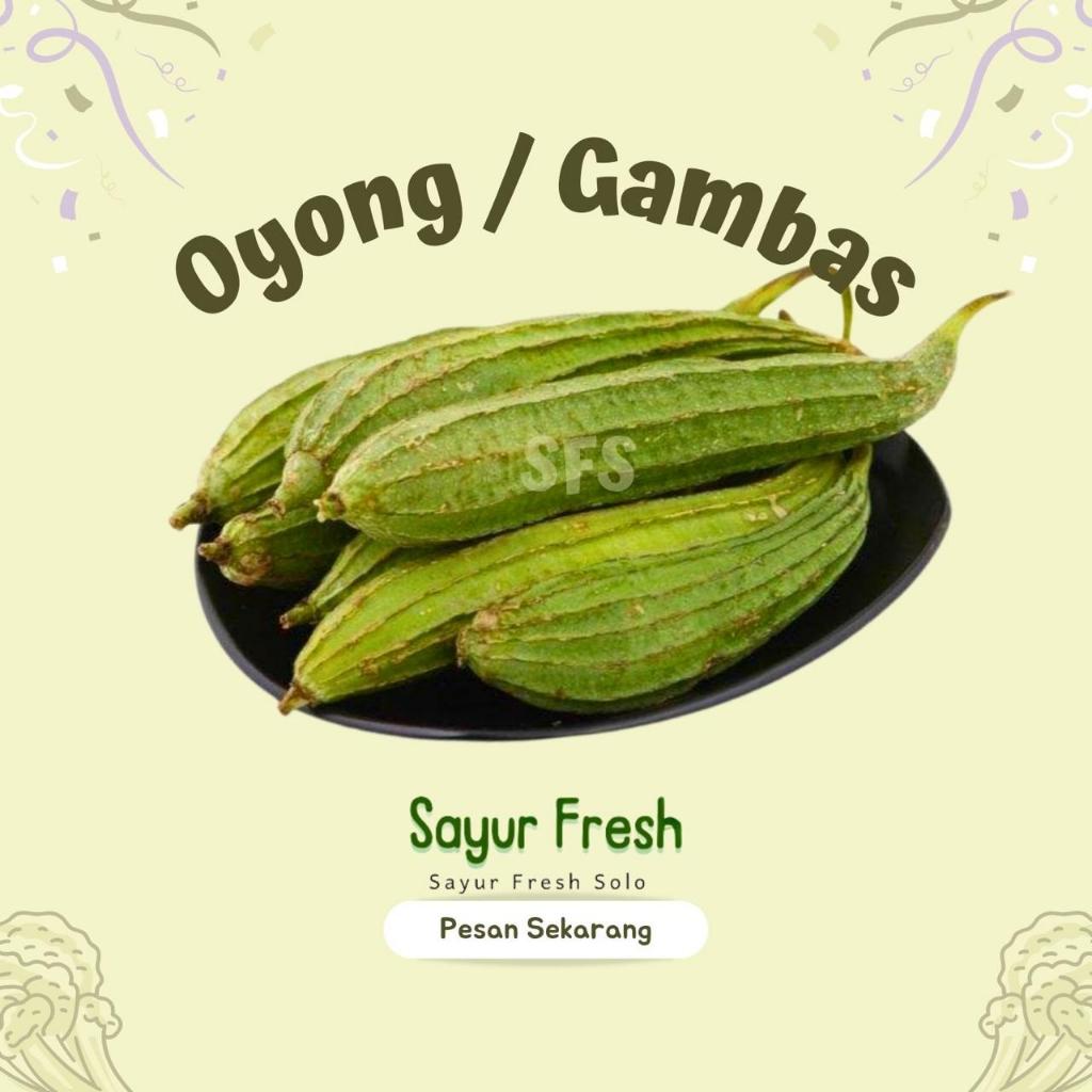 

O yong / Gambas - Sayur Fresh Solo