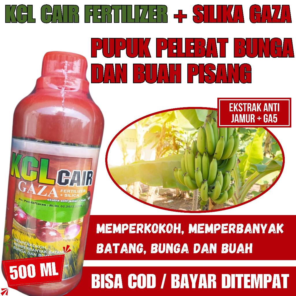 Pupuk Pelebat Buah Pisang Kcl fertilizer Pelebat Buah Alami - Pupuk Booster Organik