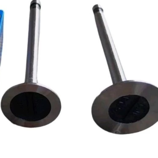 Valve In Ex R175 Dong Feng DF R175 Valve Intake Valve Exhaust Set Valve Set R180