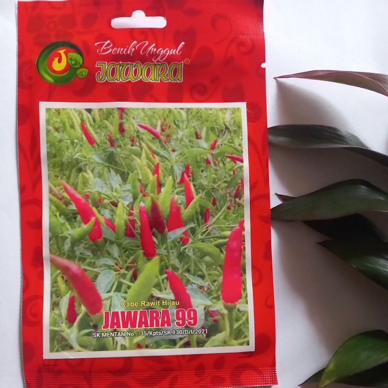 benih cabe rawit hijau tegak  jawara 99 3 gram