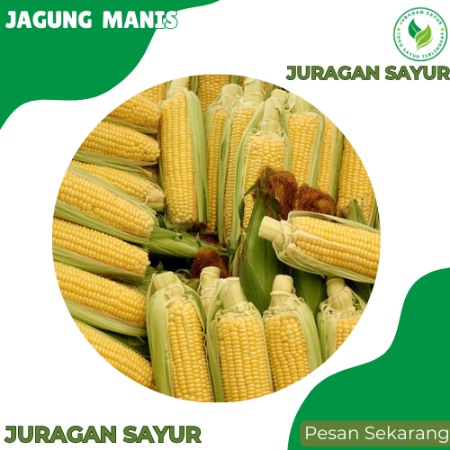 

Jagung Manis 500 gram - Jagung Manis Super - Jagung Manis 1kg - Juragan sayur