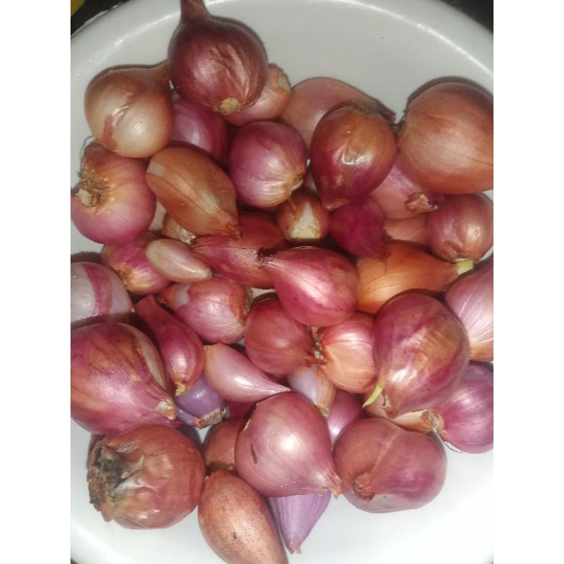 

BAWANG MERAH LOKAL ASLI LANGSUNG DARI PETANI 500GRAM,1KG