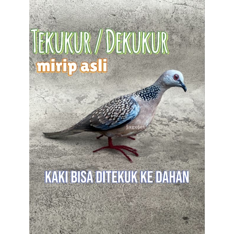 Patung pemikat burung tekukur dekukur / balam
