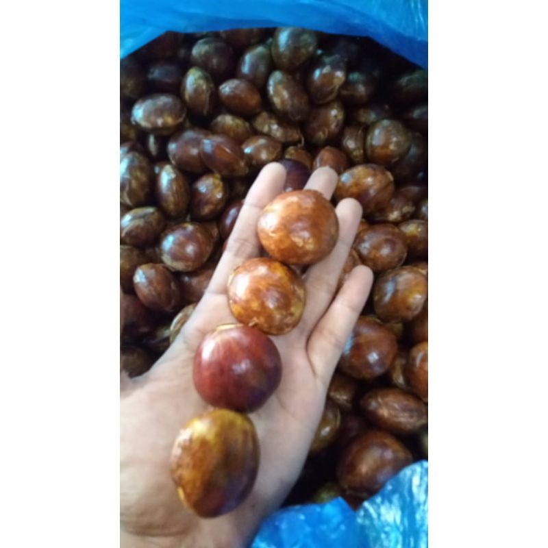 

jengkol kecil 250gr