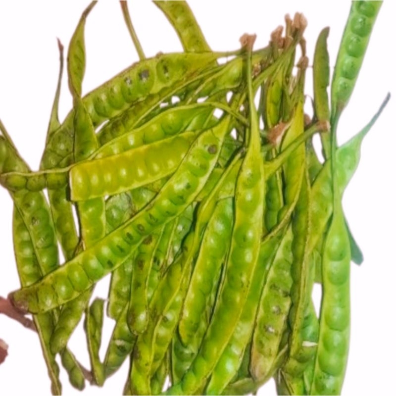 

Petai paket 8000 1 papan