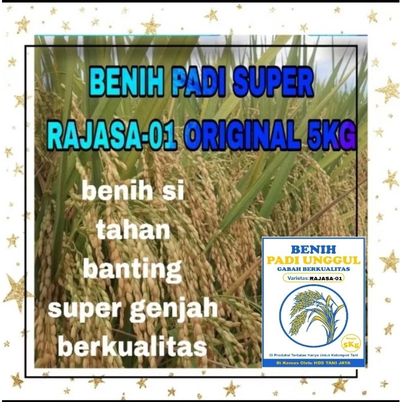BENIH PADI RAJASA-01 5KG SUPER GENJAH BERBOBOT ORIGINAL KEMASAN ASLI PABRIK