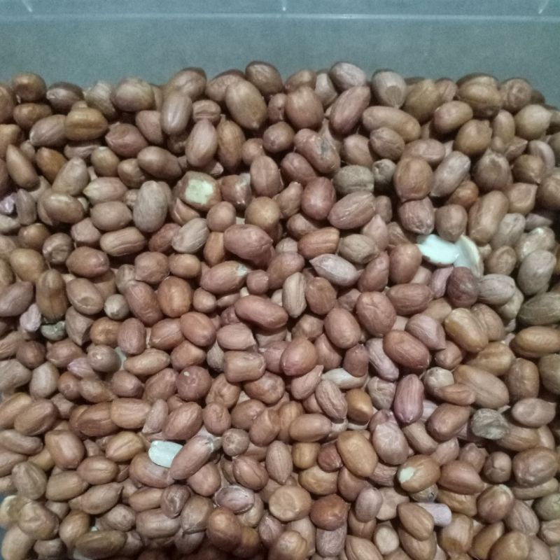 

KACANG KUPAS BUMBU