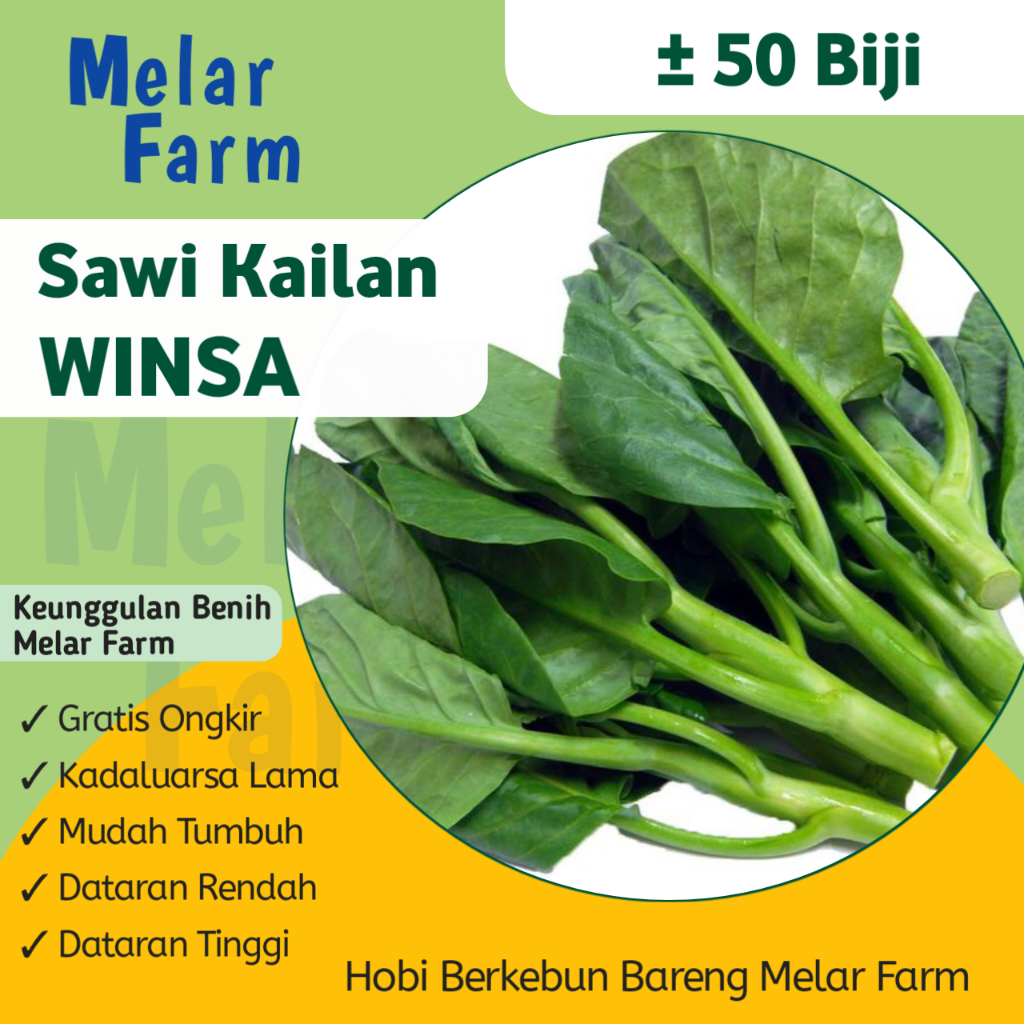 Melar Farm 50 Biji - Benih Baby Kailan WINSA