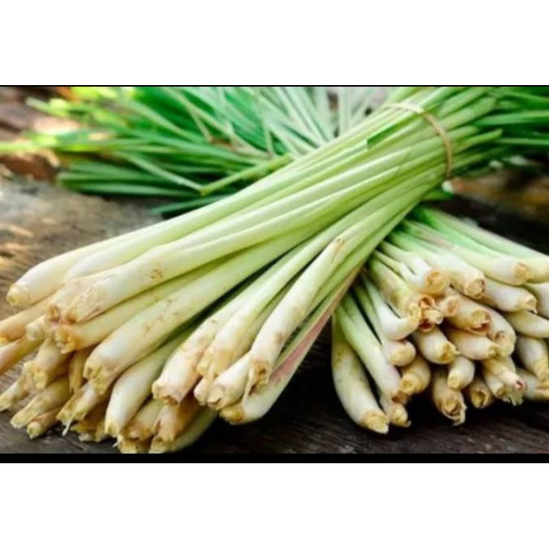 

SEREH BUMBU 250g