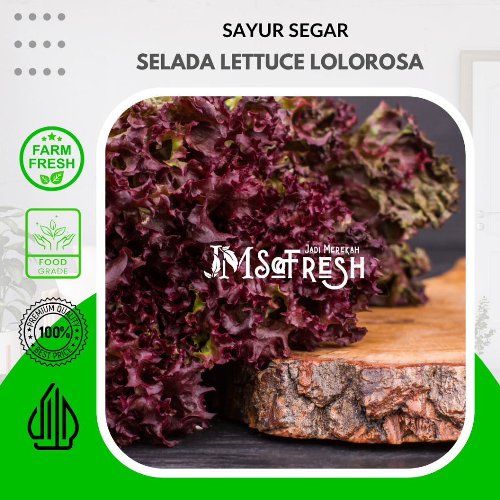 

[JMSofresh] Selada Lettuce Lolorosa / Sayur Segar Selada Lettuce Lolorosa