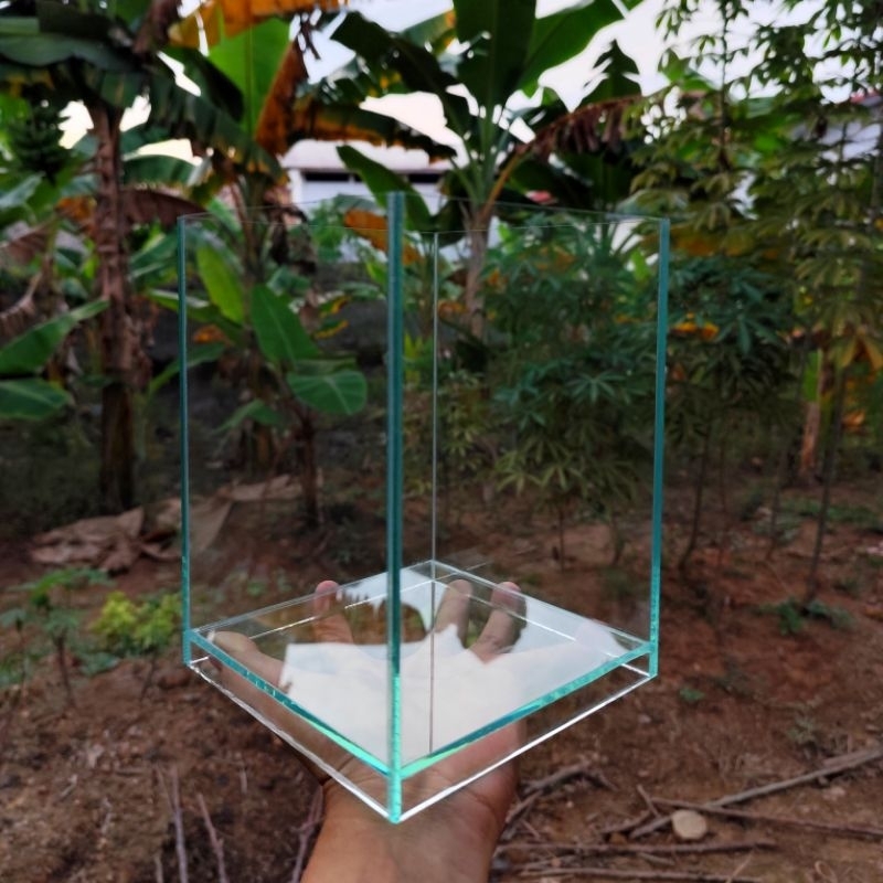 15x15x20 Shallow Tank Aquascape Dan Tank Ikan Hias